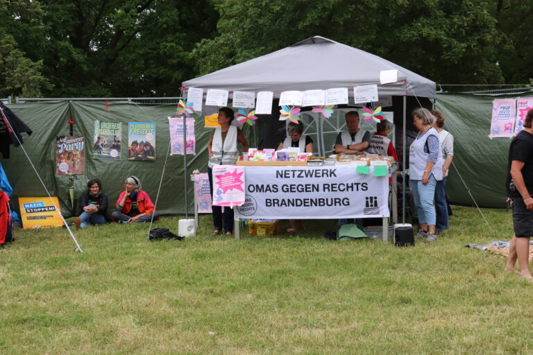 DEMONSTRATION!  – graue Theorie, bunte Praxis